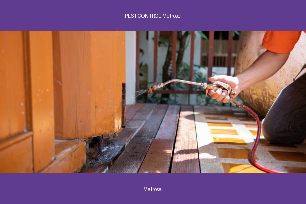 PEST CONTROL Melrose